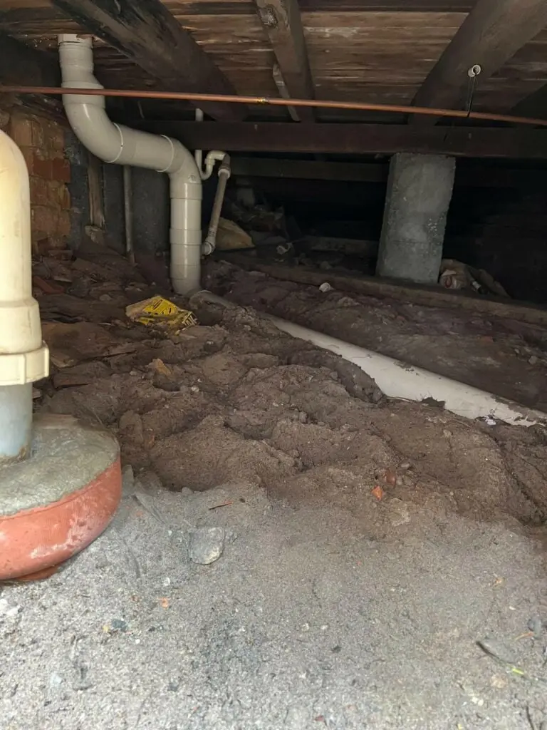 Drain pipes running through the subfloor under a house