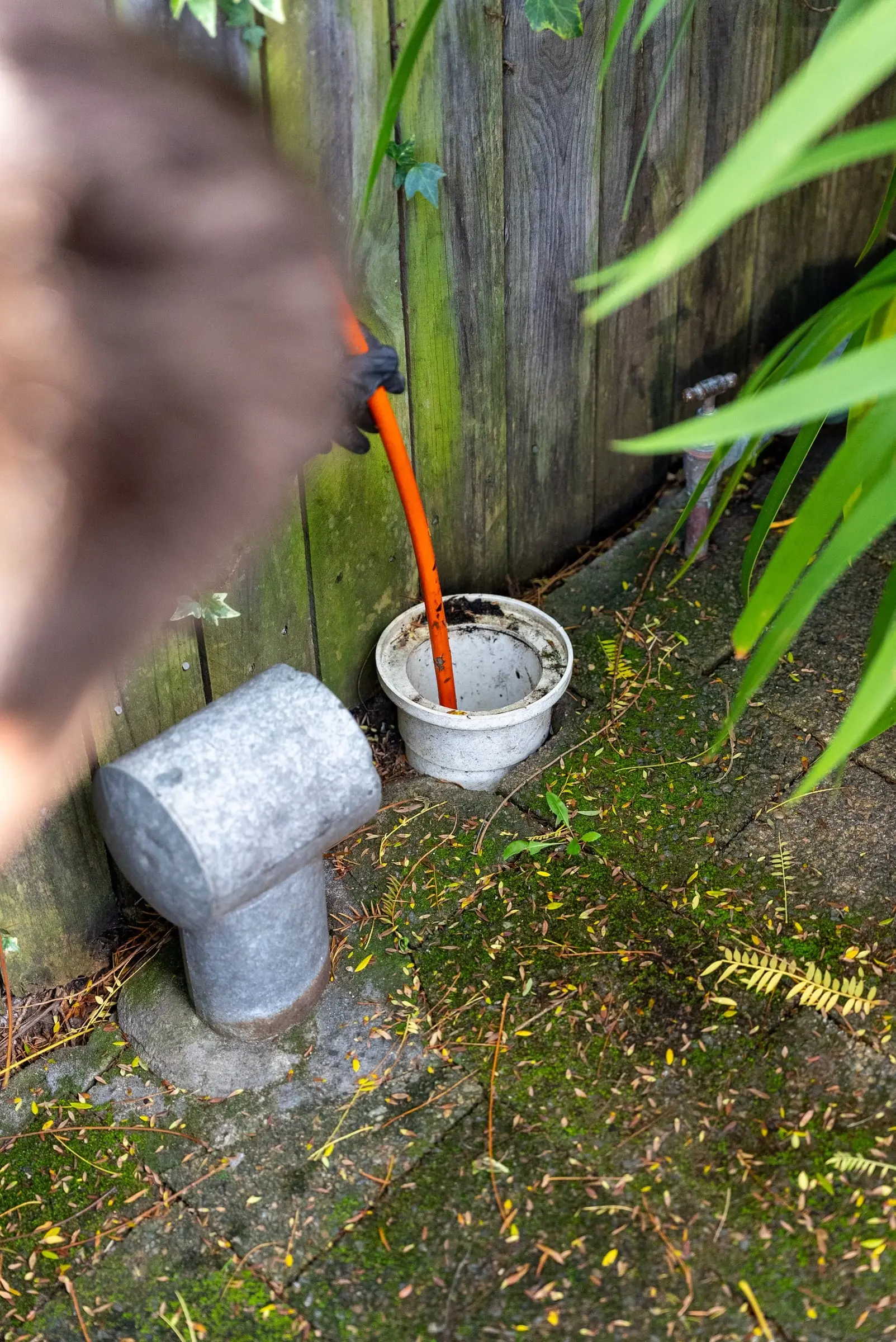 Drain hose running into an outdoor drain riser beside a timber fence